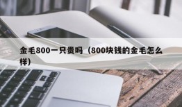 金毛800一只贵吗（800块钱的金毛怎么样）