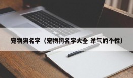 宠物狗名字（宠物狗名字大全 洋气的个性）