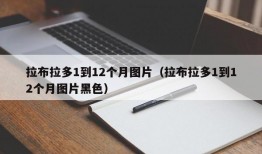 拉布拉多1到12个月图片（拉布拉多1到12个月图片黑色）