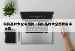 狗狗品种大全带图片（狗狗品种大全图片名字 大型）