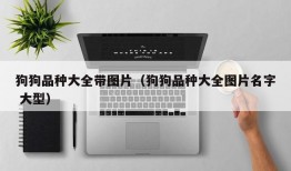 狗狗品种大全带图片（狗狗品种大全图片名字 大型）